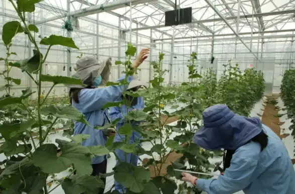 关联技巧｜实战宝典—多人在线游戏服务器网络优化全攻略【技术深度解析】