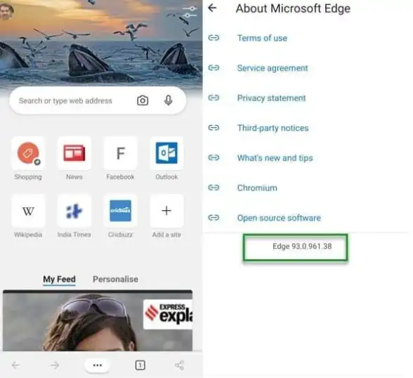 浏览器设置🚀主页优化 装机高手教你高效配置Microsoft Edge首页的方法