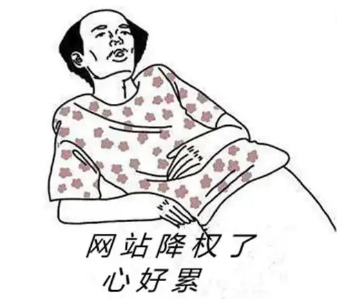 链接优化新趋势｜站长必看！内容协作放大友链价值—SEO实用指南】