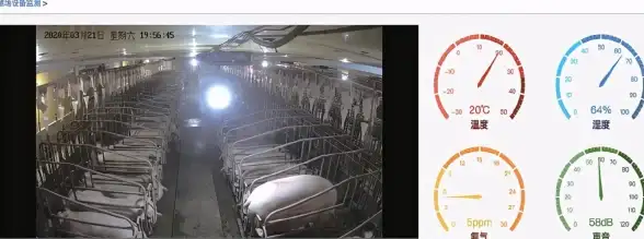 云计算,高性能-稳定弹性伸缩，深圳绮风云云主机用后感
