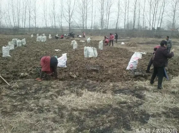 云服务|数字经济 我国云计算市场规模突破2000亿元年均增速超过50%