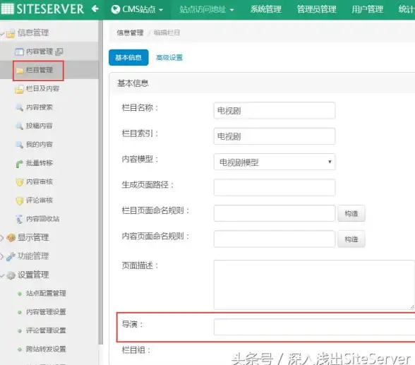 解读｜极速搭建利器｜虚拟主机IP兼容主流CMS全解析】建站优化指南