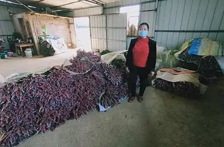 速达3000 数据管理 轻松掌控速达3000数据库表，快速高效管理企业数据