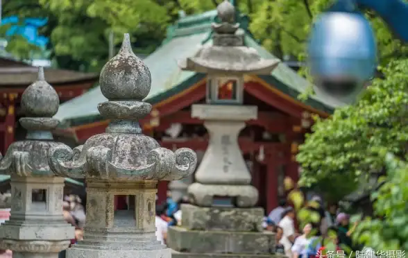 🔥攻略秘籍🔥全面解析🔥流放之路2战争使者超强技能搭配与装备推荐详解