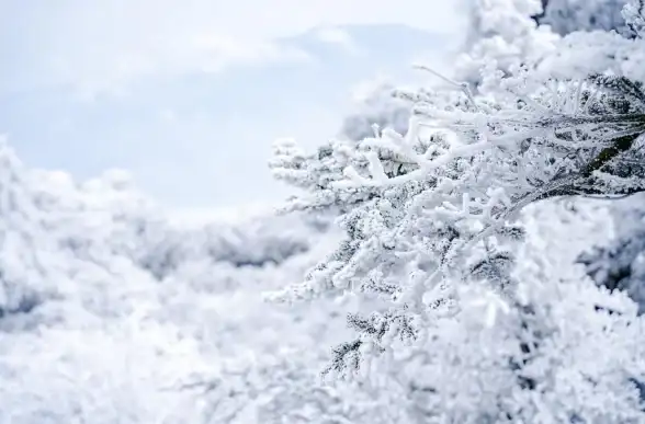 攻略🔥奇缘之旅新手必备超实用技巧全解析