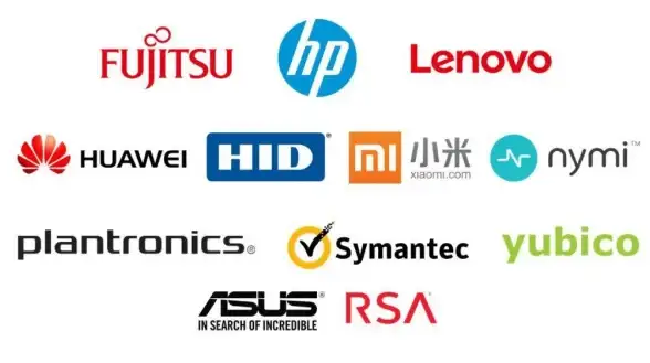 Win11技巧🔑微软账户密码去除方法与原因解析