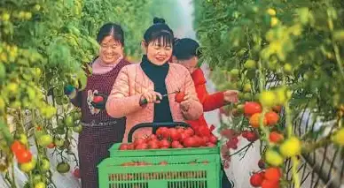 氛围升级⚡参数调优🔥无限暖暖全方位体验提升攻略