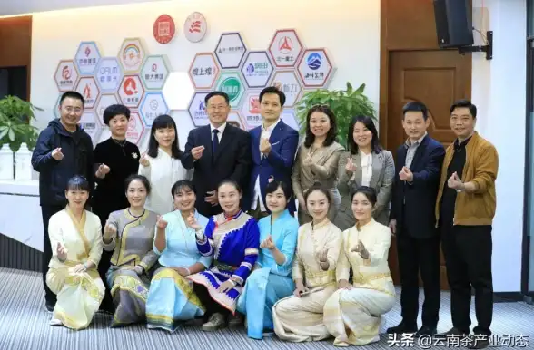 CDN加速,信阳网络-鹏博士科技网接入信阳CDN有哪些好处