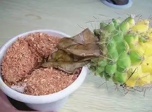 🌟科学揭秘🌟微生物探秘🌟细菌最早被识别的神秘有机物究竟是什么？