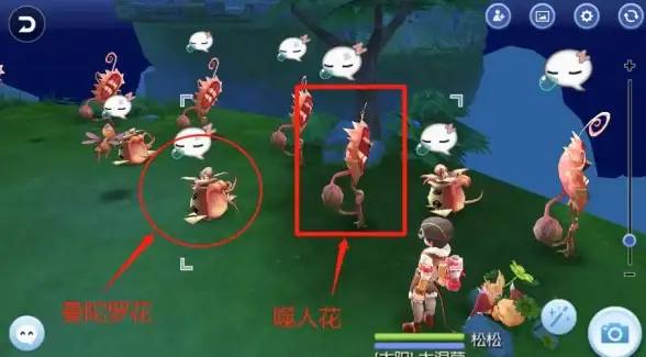 游戏攻略🎯怪物猎人曼陀罗图鉴哪张内容最丰富详尽？