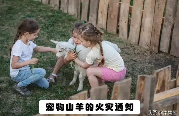 礼物🎁精选 礼品推荐 阿比盖尔最爱的顶级礼物选择揭秘