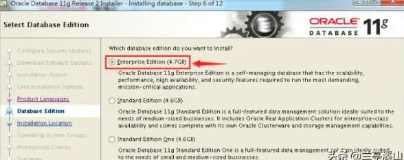 Oracle学习 数据库提升 高效复习Oracle数据库，快速掌握核心知识，轻松提高技能水平