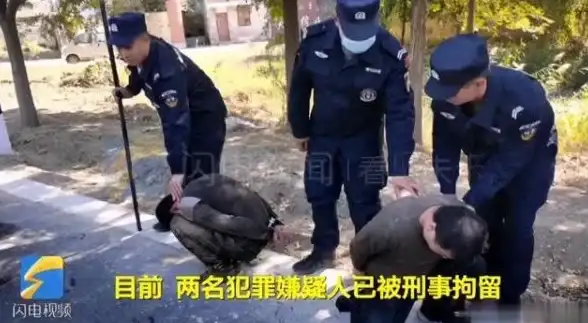 弓弩对比🔥实战揭秘⚡武器特点深度解析，怪物猎人猎杀利器全解读