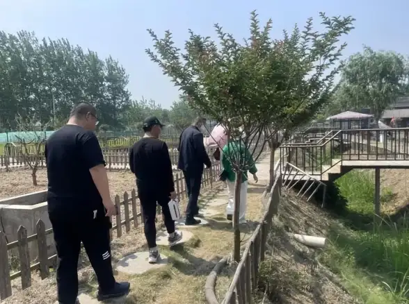 策略丨高效组队指南！水果竞猜游戏源码研发团队组建全攻略】