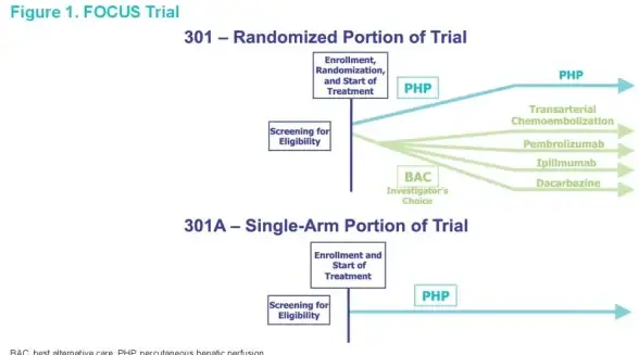 随机生成 编程技巧 php 随机字母与数字的实现方法