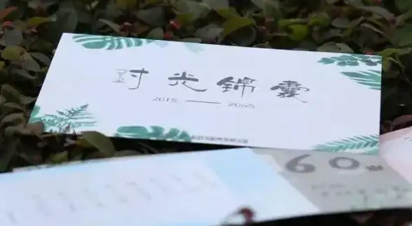 进阶硬核技巧｜Q8400性能分配终极优化方案分享【计算机硬件·实用干货】
