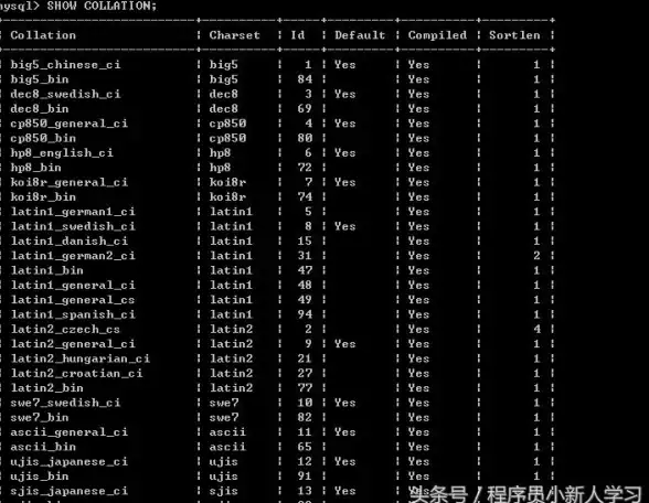 数据库管理 数据库创建 MySQL建库全流程：从零开始轻松搭建你的第一个数据库