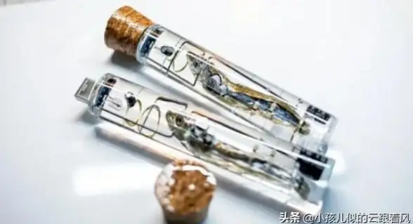 数据恢复📷内存卡格式化全流程解析，小鱼教你轻松掌握正确操作方法
