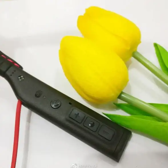 音频故障🎵电脑突然没声音了怎么办？实用方法助你轻松找回声音