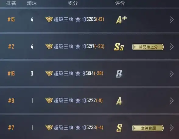 游戏🔥和平精英更新揭秘 强制下线机制深度解析 安全、玩法