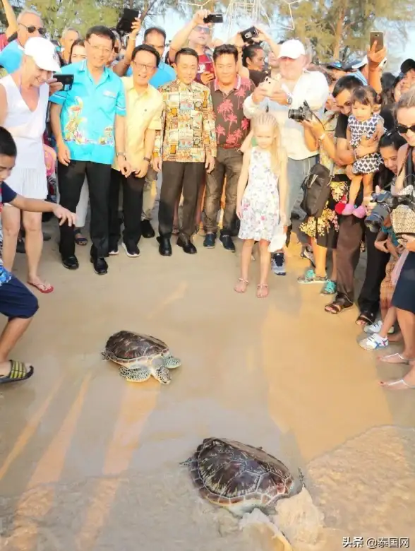 养殖指南·海洋生物·技巧攻略 我的世界》海龟蛋采集后全方位孵化繁育详解！