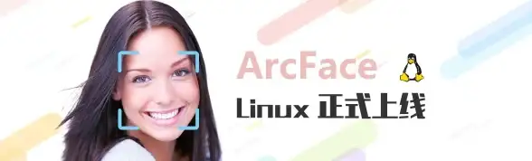 系统管理 版本查询 linux操作系统版本_Linux操作系统版本大全汇总