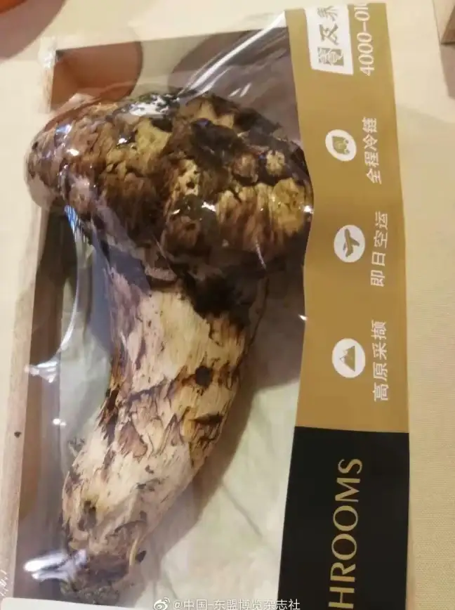 数据库管理|万象OL教程|正确设置万象OL数据库的方法与步骤