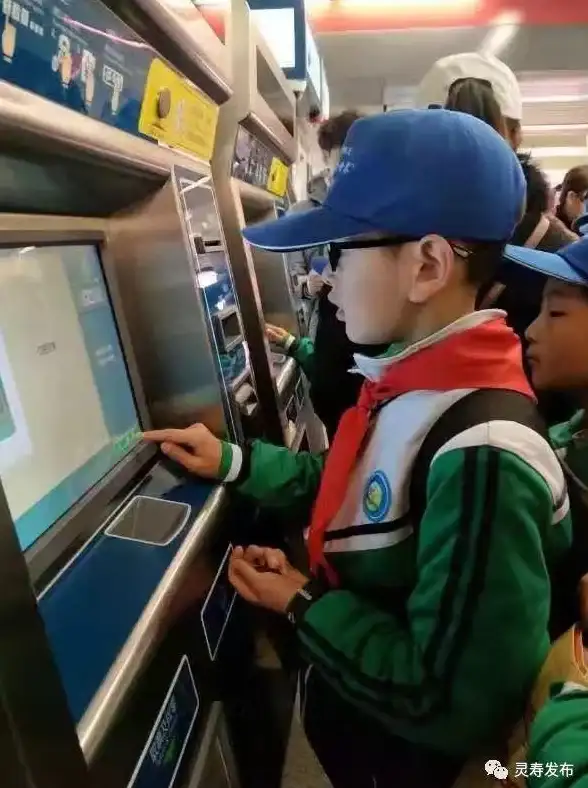 攻略秘籍🕊生存指南 地铁逃生鸽子获取全解析