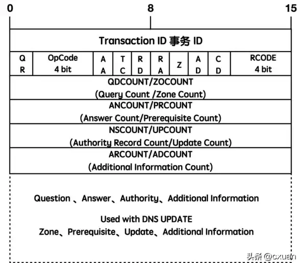 必学｜深入掌握DNS格式，网络安全防护技巧全解析┃主旨：DNS服务器地址填写指南