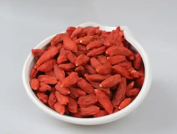软件下载 安全高效下载软件的实用指南，轻松防范病毒侵扰