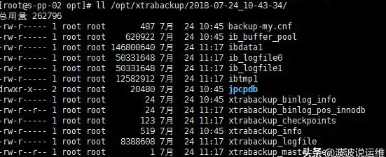 数据库管理|高效查询：mysql命令行查看方法与实用技巧