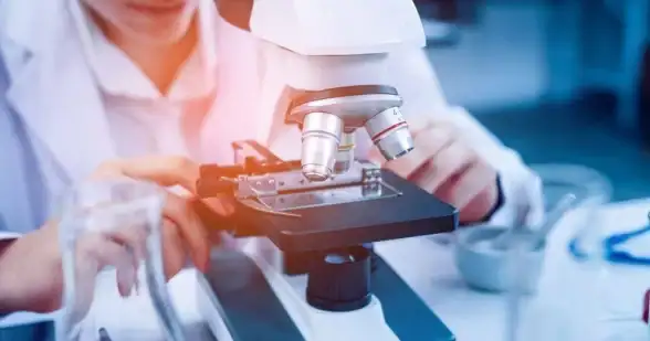 省电优化💡苹果笔记本2024年节能指南：详解高效省电设置与实用优化方法