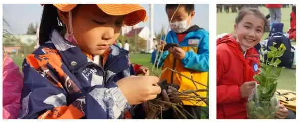 经济🔥高收益🔥必看｜星露谷物语》超强经济效益作物组合推荐！