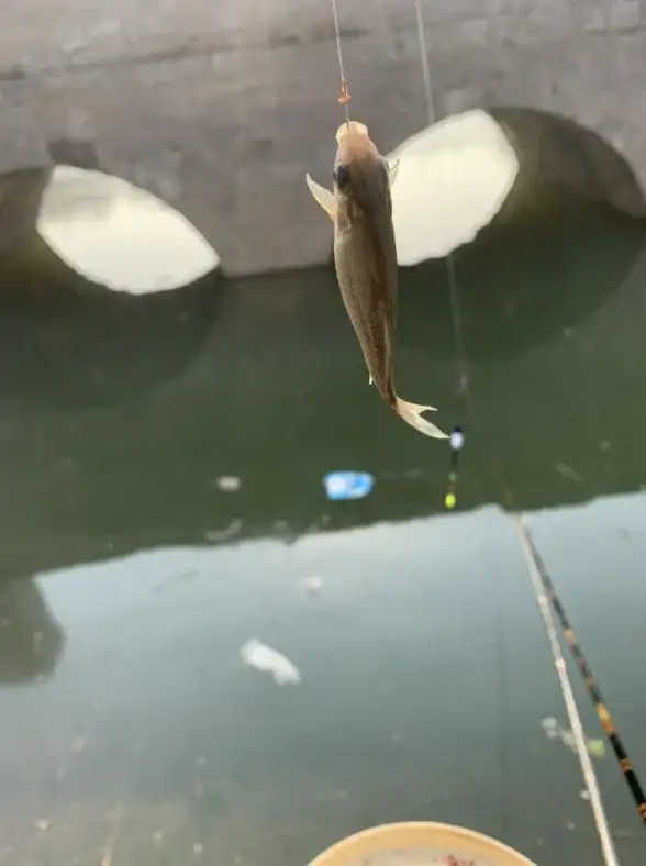 铃声设置🎵小鱼教你如何自定义苹果手机铃声，简单步骤快速上手