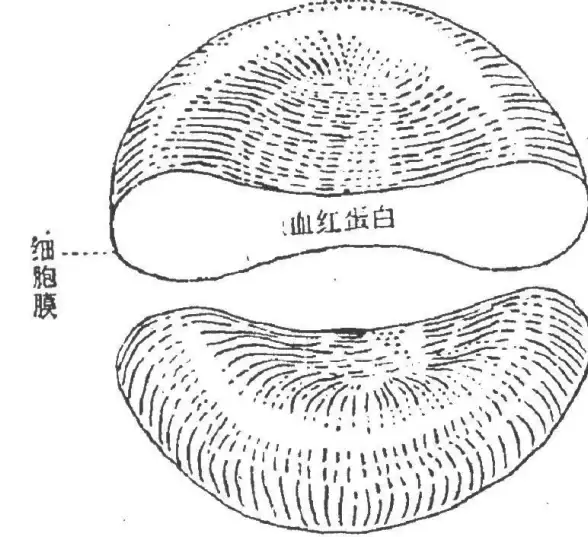 数据库管理|循环控制 数据库循环计数：中心词从0到3，数据库for k=0 to 3
