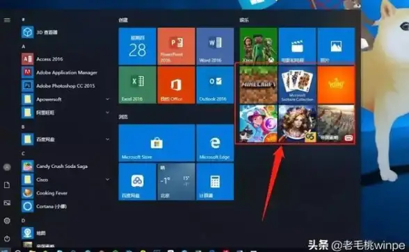 Win11技巧✨复选框异常处理—项目复选框异常问题解决方法探讨
