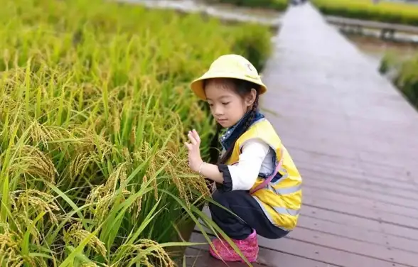 游戏攻略●速成秘籍●高分技巧 小黄人快跑》肆意破坏成就速通全解析