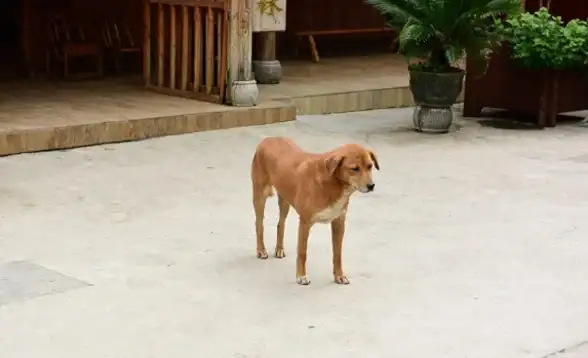 猎趣🔥单机游戏🔥经典推荐 2025年度最火打猎游戏全攻略