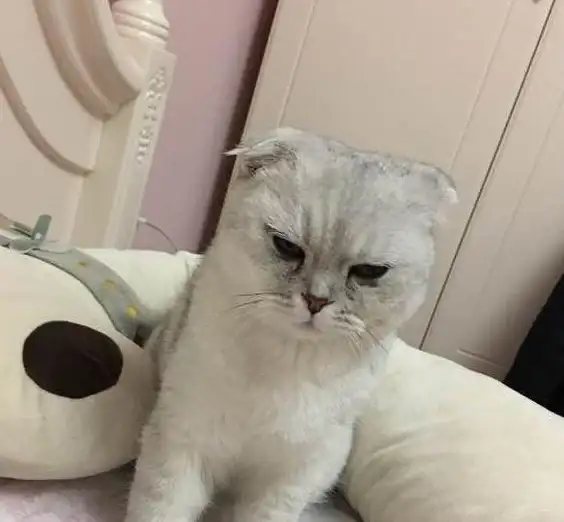 电脑故障💻遇到电脑启动不了？小鱼详细讲解修复方法