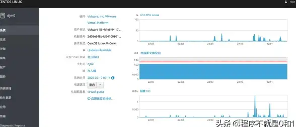 Linux运维 系统性能 centos查看内存，CentOS内存监控与优化方法解析
