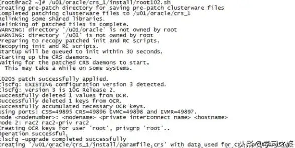 Oracle OCR镜像操作指南：如何正确增加OCR镜像确保数据安全
