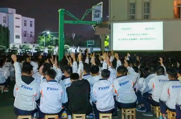 流量监控🟡电信用户高效掌握流量余额与使用情况的方法
