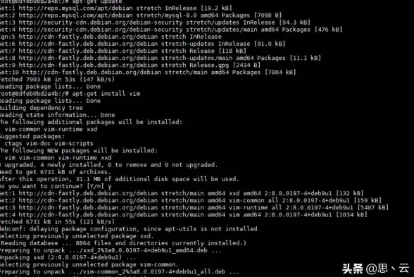 数据库管理 快速部署 apt安装mysql的简易指南