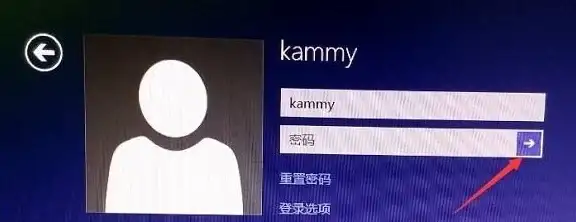 🔥秋季限定🔥经典国风🔥探秘逆水寒手游枫映梦泽活动亮点+开服时间揭秘