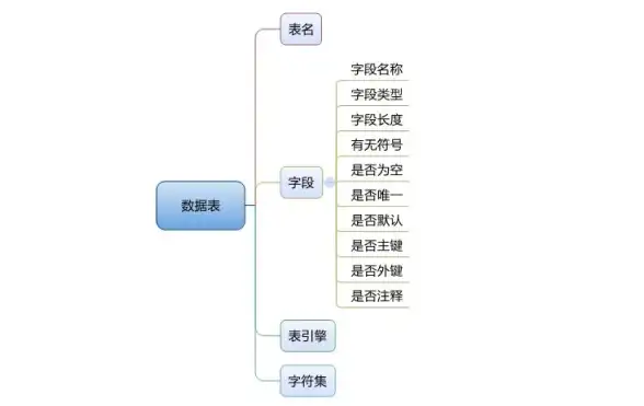 数据库管理|表结构设计 如何在新建的数据库中创建表？在新创建的数据库中创建表