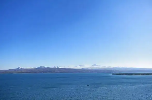 手游攻略🔥方舟上帝模式购买后实用操作技巧详解