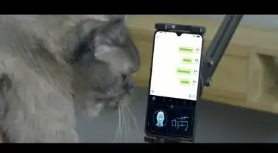 表情彩蛋·实用技巧·输入法｜小米版百度输入法速关方法大揭秘！