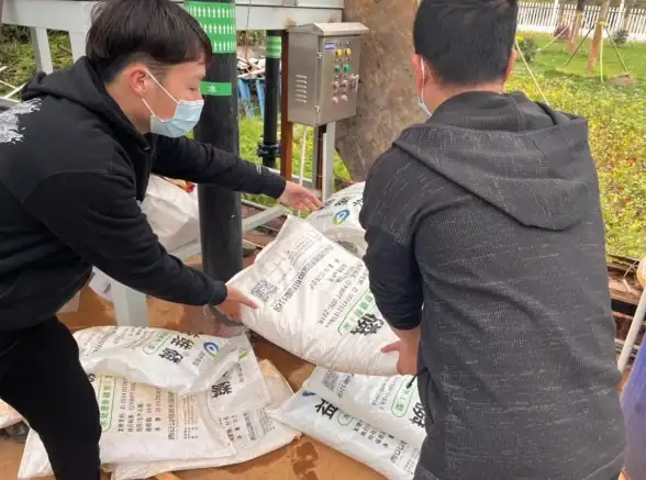 智能云配置速览｜深度拆解QQ服务器地址 实操案例精讲！网络运维关键技】