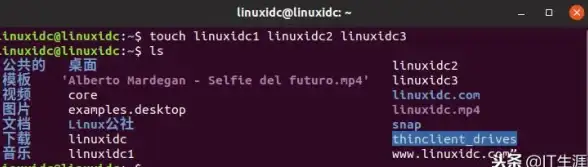 文件管理|命令详解|linux查看文件常用命令及其区别解析
