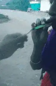 短信发送📱小鱼教您如何用电脑轻松发短信到手机，简单易学